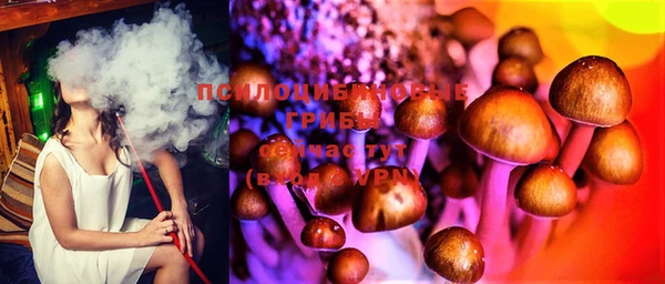гидра Абдулино