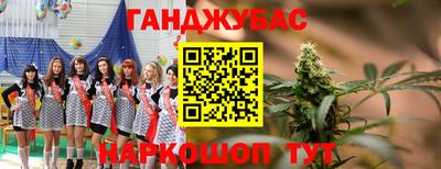 стаф Будённовск