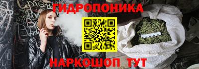 стаф Будённовск