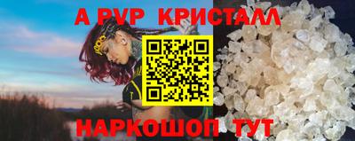 стаф Будённовск