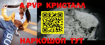 стаф Будённовск