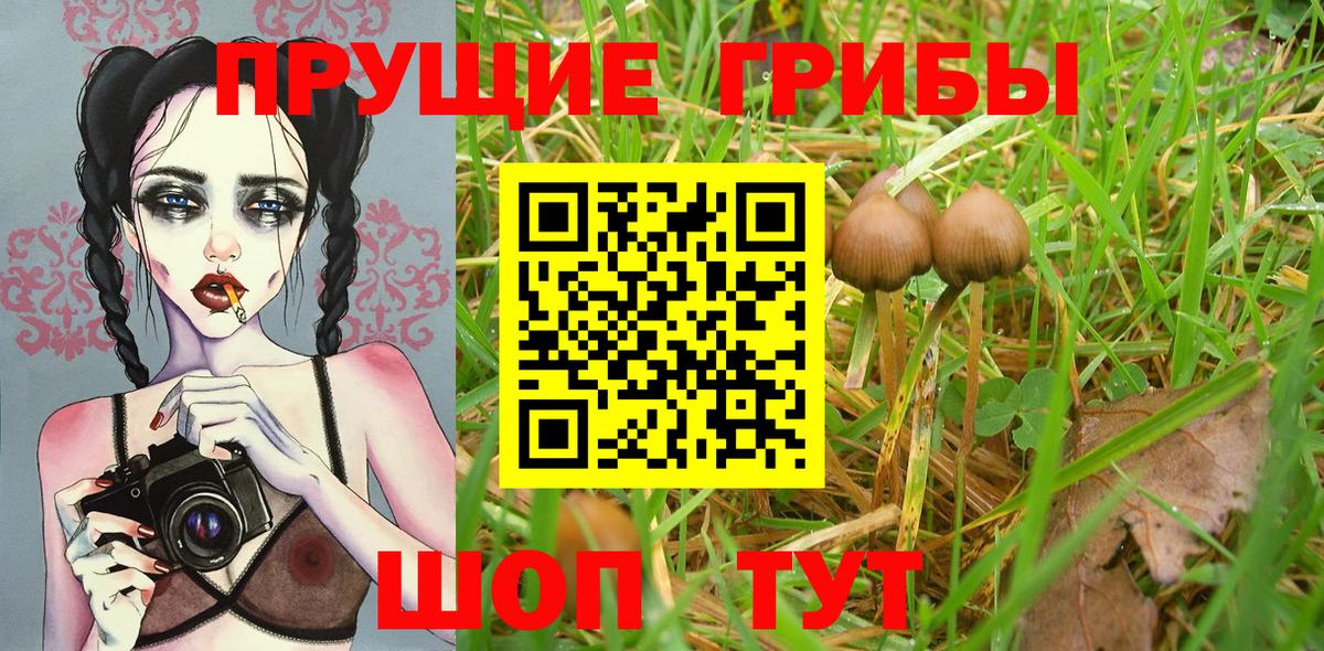 Псилоцибиновые грибы мухоморы  Вход с VPN  Кудымкар 